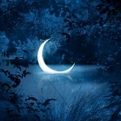 Саида Ухтиш, 10.01.1994, Энгель-юрт