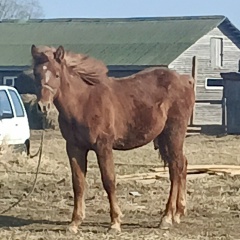 Наталья Зайцева, 27.10.1978, Санкт-Петербург