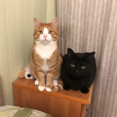 Евгений Окороков, 26.10.1983, Санкт-Петербург