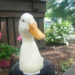 Yura Gusakov, 25.04, Санкт-Петербург