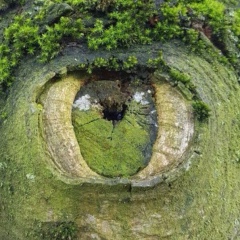 Айгуль Аверьянова, 16.04, Москва