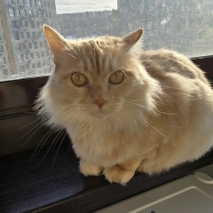 Katerina Kazantseva, 28.04, Иркутск