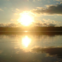 Елена Верещак, Киров