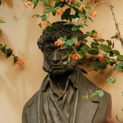 Александра Пушкинская, Санкт-Петербург