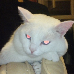 Егор Дружинин, 03.11.1988