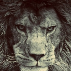 Заур Хаджимурадов, 20.11, Грозный