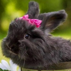 Виктория Завалишина, 11.08.1970, Белая Церковь