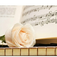 Тота Ахметова, 02.12.1990, Астана