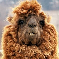 Саша Гаврилюк, 15.12.1983, Киев