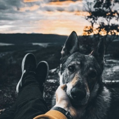 Александр Чимпоеш, 27.12, Тобольск