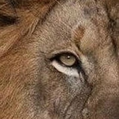 Павел Гнеушев, 31.07, Санкт-Петербург