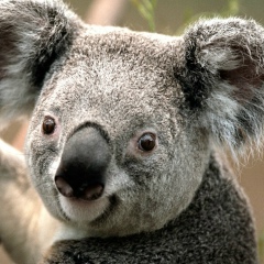 Иван Плахотнюк, 09.09.1986, Судак