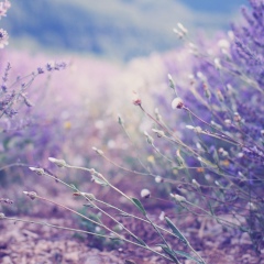 Мария Моренко, 23.06.1987, Москва