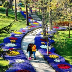 Артур Ислам, 21.01