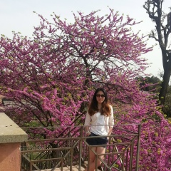 Ale Son, Санкт-Петербург