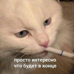 Настя Максимова, Новосибирск