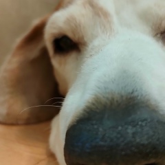 Татьяна Karelina, 13.07.1979, Москва