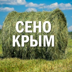 Тимур Ганиев, 18.07, Евпатория