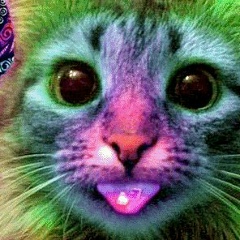 Dmitriy Shubenok, 09.10, Москва