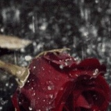 Виктория Мейсон, 20.11.1988, Одесса