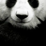 Филипп Слудников, 16.05, Киров