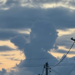 Дашка Леонидова, 09.03.1989, Таганрог