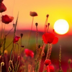 Маша Машкина, 07.09, Санкт-Петербург