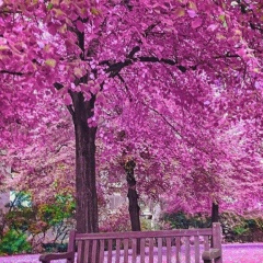 Индира Тасубаева, 31.10.1989, Шымкент