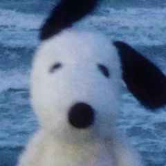 Жансая Атамбаева, 20.01.1999, Шымкент