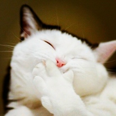 Айгерим Баубекова