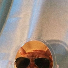 Яна Федоренко, 10.10.1995, Москва