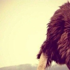 Muslim Altw, 06.04.1998, Москва