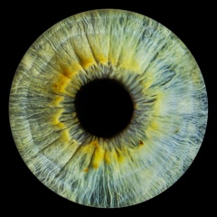 Сергей Ивакин, 20.01.1989, Санкт-Петербург