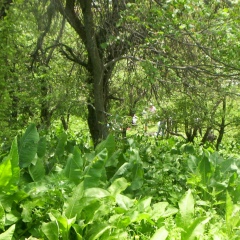 Евгений Потехин, 08.10, Алматы