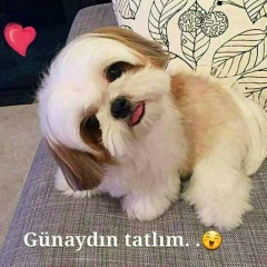 Caner Inso, 30.06.1979, Eskişehir