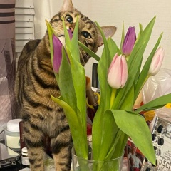 Алла Фёдорова, 30.12.1962, Санкт-Петербург