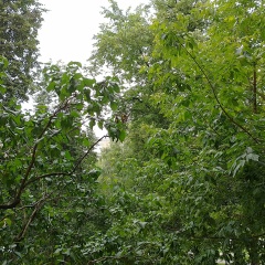 Тимур Отажанов, 28.01.1988, Москва