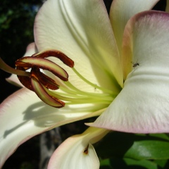 Глеб Трофимов, 04.07