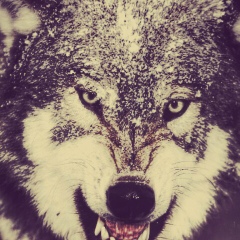 Акпан Каппаров, 16.02