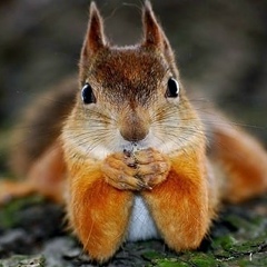 Алексей Лукьяненков, 16.01.1985