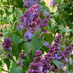 Айрат Марченко, 01.06