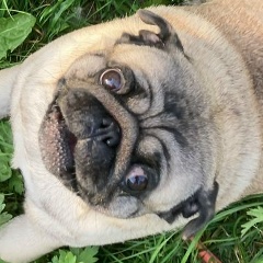 Александр Шукаев, 25.10.1981, Москва