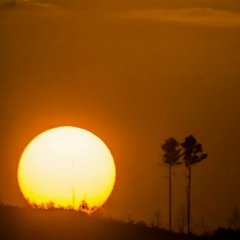 Виктор Спангенберг, Москва