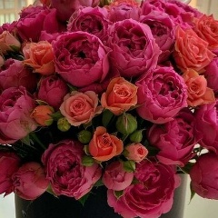 Татьяна Томилова, 14.01, Ханты-Мансийск