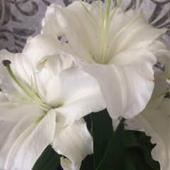 Алма Исмаилова, 20.10, Алматы