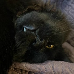 Михаил Цыганов, 14.05, Москва