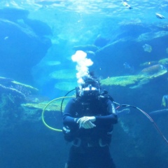 Галдан Жамбалдагбаев, 18.08