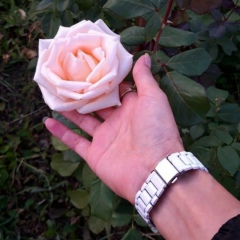 Асель Идрисовна, 01.04.1984