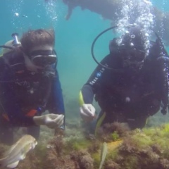 Polly Karpova, 02.12, Москва