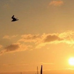 Екатерина Саламатина, 20.06, Москва